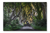  The Dark Hedges 16 po x 24 po : Cadre d'art mural et panneau de tissu
