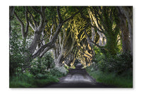  The Dark Hedges 16 po x 24 po : Cadre d'art mural et panneau de tissu