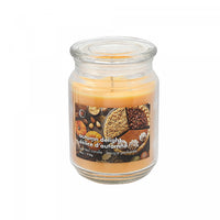 Pot parfumé de 18 oz à arôme de délice d’automne avec couvercle en verre - ensemble de 2 bougies
