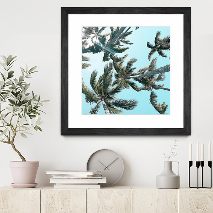 Œuvre d’art murale encadrée noire et mate « Palm 03 » 30 x 30