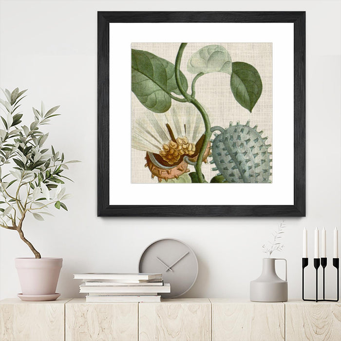 Œuvre d’art murale encadrée noire et mate « Cropped Turpin Tropicals Ii » 30 x 30