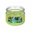 Pot parfumé de 3 oz en verre à arôme d’escapade tropicale avec couvercle - ensemble de 2 bougies