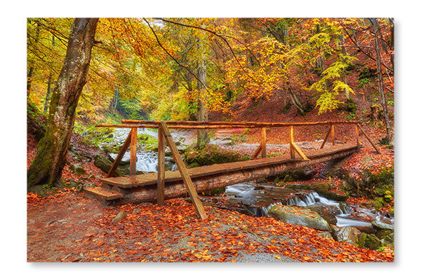  Autumn Landscape 2 16 po x 24 po : Cadre d'art mural et panneau de tissu