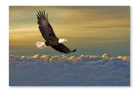Bald Eagle Flying Above The Clouds 24 po x 36 po : Oeuvre d’art murale en panneau de tissu sans cadre