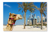  Camel At The Urban Building Background Of Dubai 24 po x 36 po : Cadre d'art mural et panneau de tissu