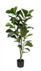 Artificial 47" Fiddle Leaf Indoor & Outdoor In Black Pot 