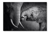  Elephant Affection 24 po x 36 po : Cadre d'art mural et panneau de tissu