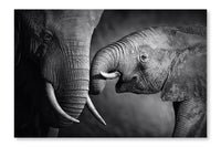  Elephant Affection 24 po x 36 po : Cadre d'art mural et panneau de tissu