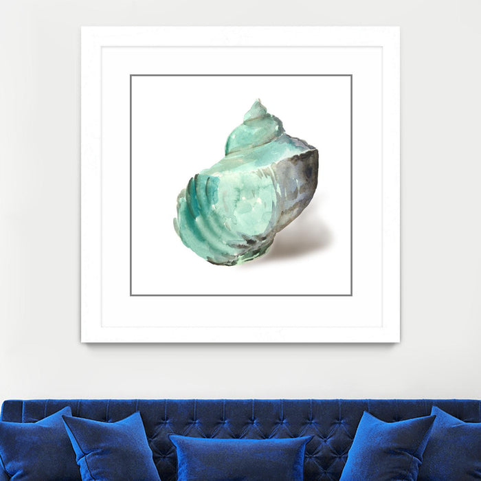 Œuvre d’art murale encadrée blanche et mate « Shell In Mint » 36 x 36