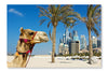 Camel At The Urban Building Background of Dubai 24 po x 36 po : Oeuvre d’art murale en panneau de tissu sans cadre