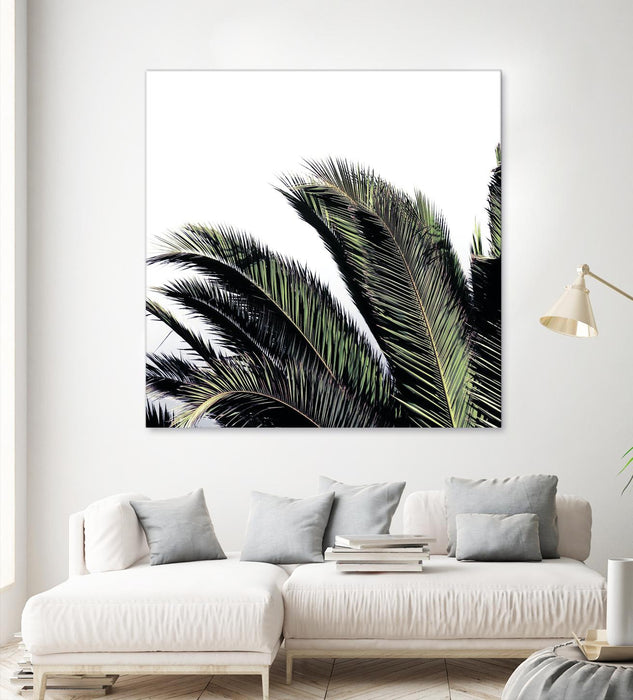 Œuvre d’art murale Giant Art « Cape Storm » 54 x 54