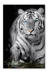  Black And White Tiger 24 po x 36 po : Cadre d'art mural et panneau de tissu