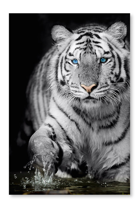  Black And White Tiger 24 po x 36 po : Cadre d'art mural et panneau de tissu