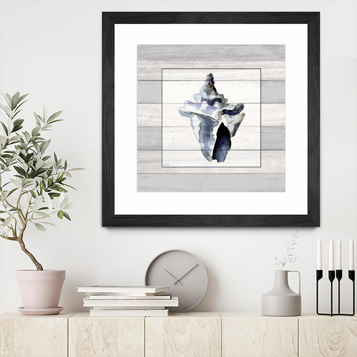 Œuvre d’art murale encadrée noire et mate « Muted Blue Sea Conch On Wood » 30 x 30