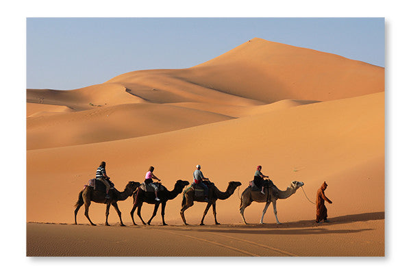  Camel Caravan In Sahara Desert 24 po x 36 po : Cadre d'art mural et panneau de tissu