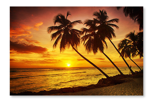 Barbados  3 24x36 Wall Art Fabric Panel Without Frame