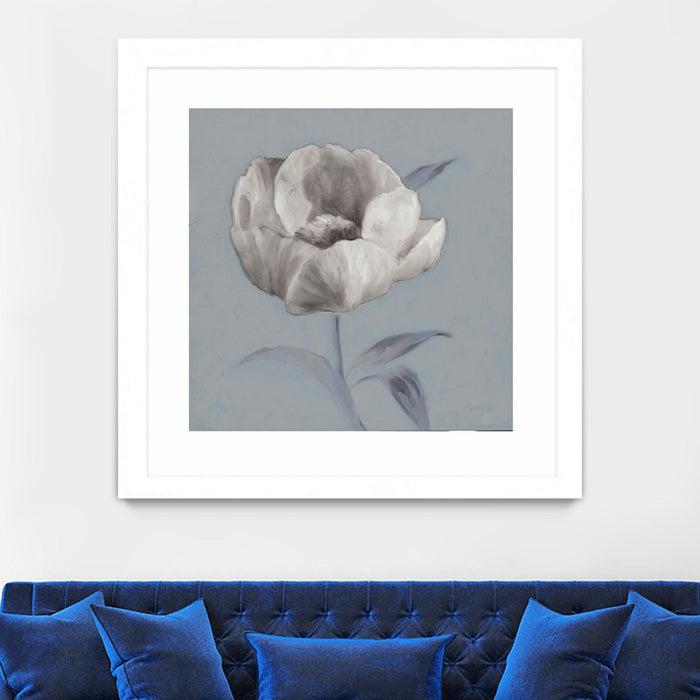 Œuvre d’art murale encadrée blanche et mate « Floral Symposium I » 30 x 30