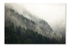 Forest Fog 24 po x 36 po : Oeuvre d’art murale en panneau de tissu sans cadre