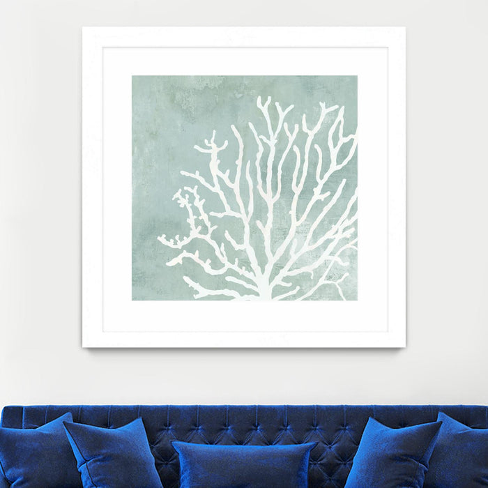 Œuvre d’art murale encadrée blanche et mate « Sea Crown Ii » 36 x 36
