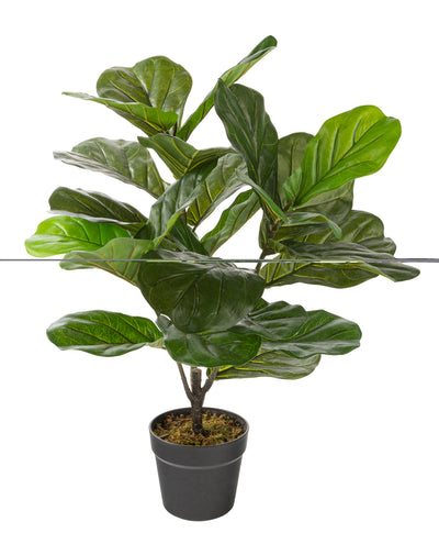 Artificial 27" Fiddle Leaf In Black Pot 