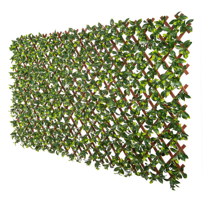 Treillis de PVC extensible 36 po x 72 po avec feuilles de gardénia