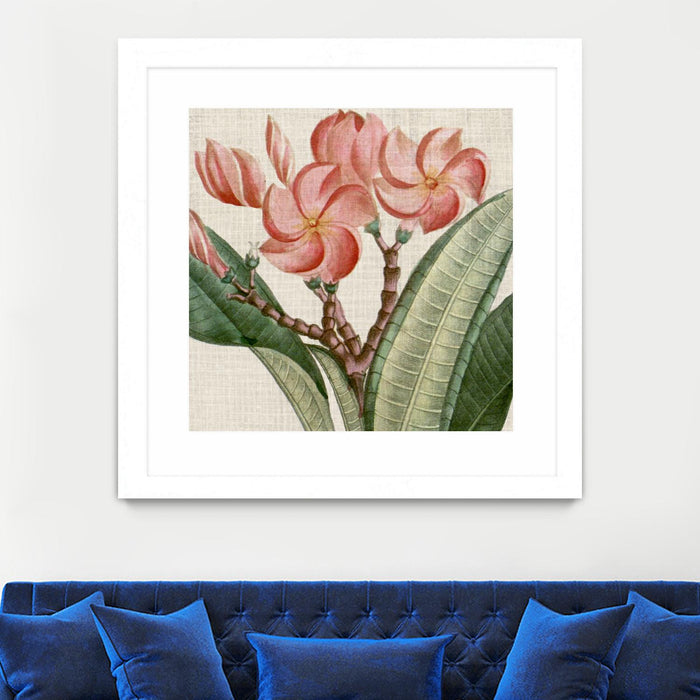 Œuvre d’art murale encadrée blanche et mate « Cropped Turpin Tropicals Vii » 30 x 30