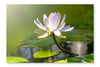  Water Lily Flower 28 po x 42 po : Cadre d'art mural et panneau de tissu