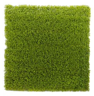 Panneau de feuillage 20 po x 20 po cèdre artificiel 4 pièces