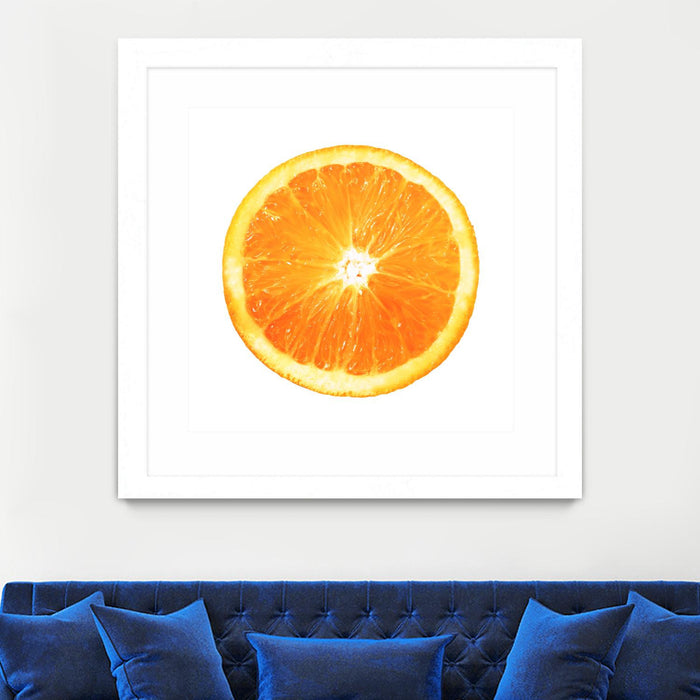 Œuvre d’art murale encadrée blanche et mate « Citrus Cultivar » 30 x 30