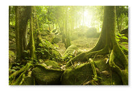  Green Forest 28 po x 42 po : Cadre d'art mural et panneau de tissu