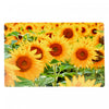 Napperon en plastique orné d’un champ de tournesols - ensemble de 12