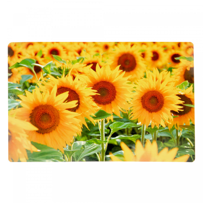 Napperon en plastique orné d’un champ de tournesols - ensemble de 12