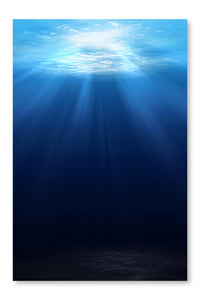  Underwater Scene Background 28 po x 42 po : Cadre d'art mural et panneau de tissu