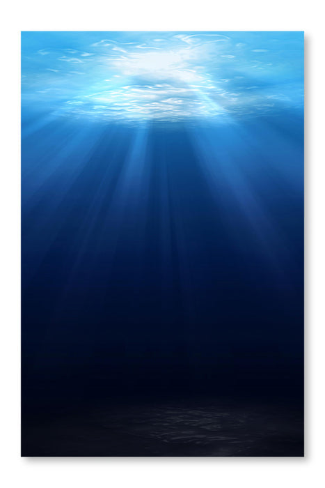  Underwater Scene Background 28 po x 42 po : Cadre d'art mural et panneau de tissu
