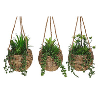Plantes grasses artificielles dans un pot en corde à accrocher - ensemble de 3 fleurs artificielles