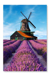  Lavender Fields With Windmill 28 po x 42 po : Cadre d'art mural et panneau de tissu
