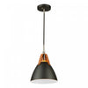 Luminaire suspendu II Tote noir à 1 ampoule