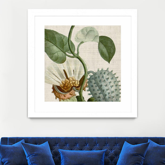 Œuvre d’art murale encadrée blanche et mate « Cropped Turpin Tropicals Ii » 30 x 30