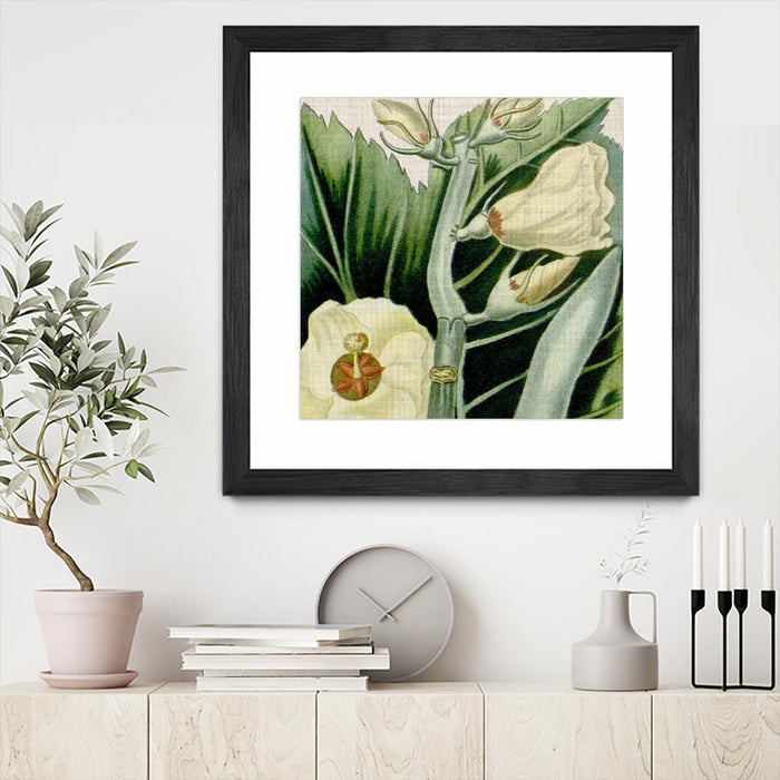 Œuvre d’art murale encadrée noire et mate « Cropped Turpin Tropicals Iii » 30 x 30