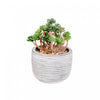 Plante grasse artificielle dans un pot en ciment - ensemble de 2 fleurs artificielles