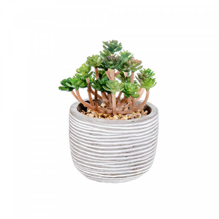 Plante grasse artificielle dans un pot en ciment - ensemble de 2 fleurs artificielles
