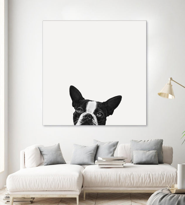 Œuvre d’art murale Giant Art « Loyalty » 54 x 54