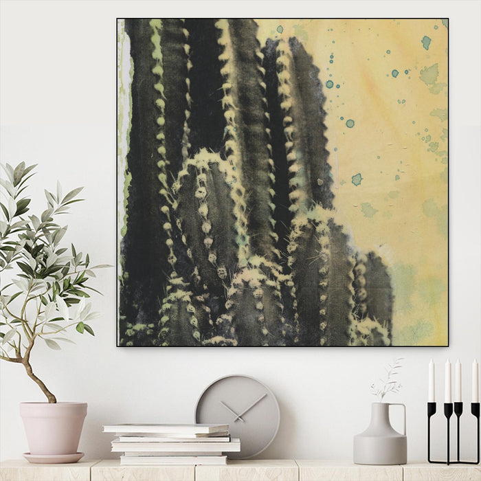 Œuvre d'art murale sur toile encadrée noire « Desert Dreams Iv » 20 x 20