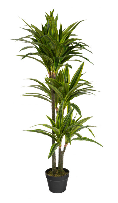 Artificial 47" Dracaena In Black Pot 