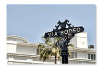  Rodeo Drive Outdoors 28 po x 42 po : Cadre d'art mural et panneau de tissu