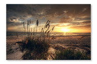  Grassy And Beach Sunset 16 po x 24 po : Cadre d'art mural et panneau de tissu