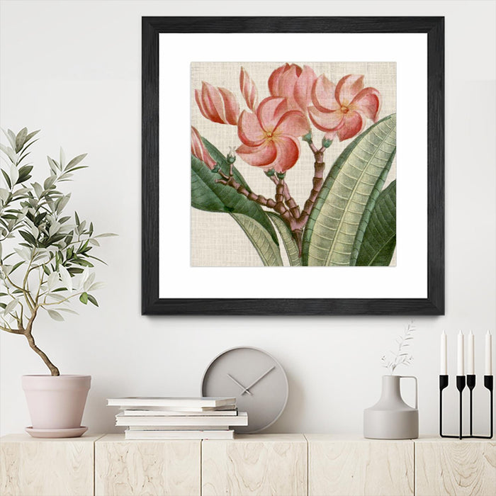 Œuvre d’art murale encadrée noire et mate « Cropped Turpin Tropicals Vii » 30 x 30
