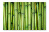 Fresh Bamboo Background 28 po x 42 po : Oeuvre d’art murale en panneau de tissu sans cadre