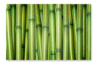Fresh Bamboo Background 28 po x 42 po : Oeuvre d’art murale en panneau de tissu sans cadre