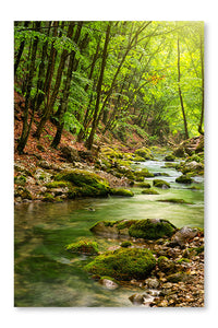  River Deep In Mountain Forest 16 po x 24 po : Cadre d'art mural et panneau de tissu